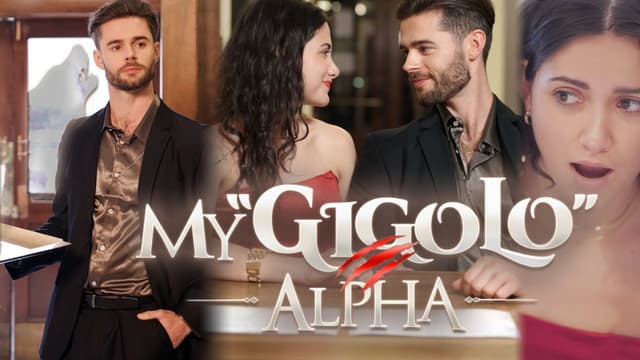 My Gigolo Alpha (14/14)