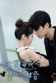 The Ex-Husband Wants to Remarry